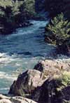 Copyright image www.web-centric.net Mokelumne River, Amador County CA